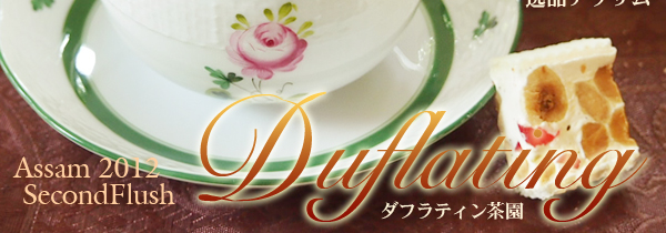 アッサム紅茶：ダフラティン茶園