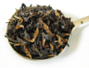 アッサム紅茶メレング茶園
