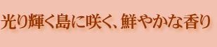 光り輝く島に咲く、鮮やかな香り