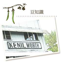 スリランカ