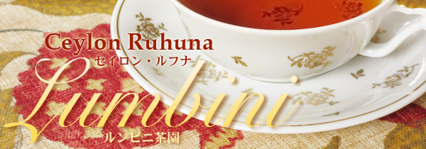 セイロン紅茶ルフナ・ルンビニ茶園