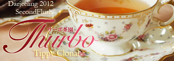 ダージリン夏摘み:サーボ茶園