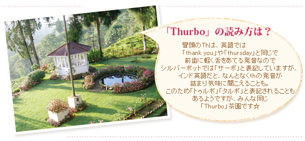 ダージリン夏摘み：サーボ茶園