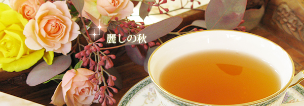 ダージリン秋摘みセリンボン茶園