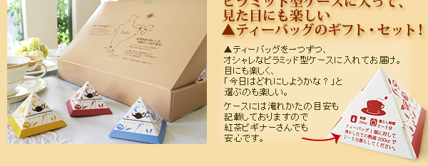 ピラミッド型ケースに入って、見た目にも楽しい