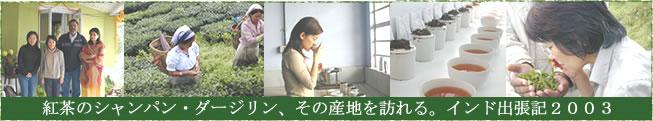 2003年ダージリン出張記はこちらから！