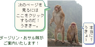 次のページへ：ダージリン出張記