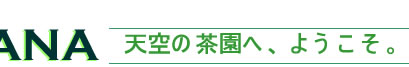 ジャンパナ茶園:ダージリン出張記