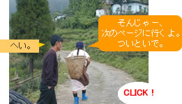 次のページへ：ダージリン出張記