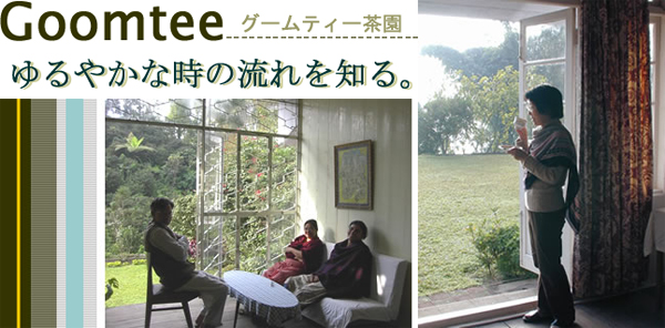 グームティー茶園:ダージリン出張記