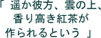 遥か彼方、雲の上、香り高き紅茶