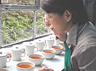 マーガレッツホープ茶園:ダージリン出張記