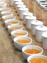 プッタボン茶園:ダージリン出張記