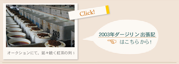 2003年ダージリン出張記
