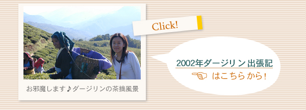 2002年ダージリン出張記