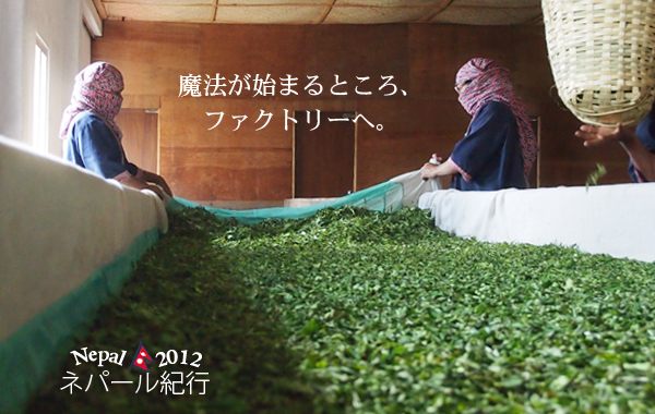 ネパール