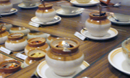 ニルギリ訪問記：コーチン市にて