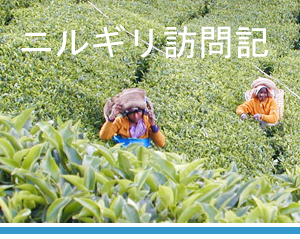 ニルギリ訪問記