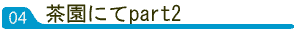 茶にてpart2[ニルギリ訪問記]