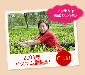 アッサム訪問記