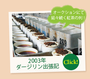 ダージリン出張記