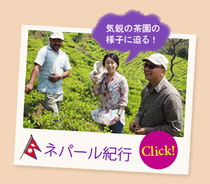 ネパール紀行