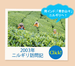 ニルギリ訪問記