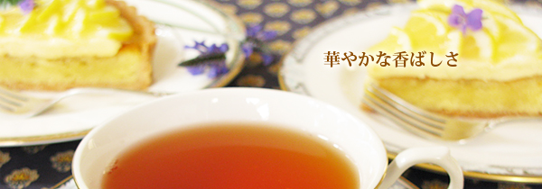 ニルギリ紅茶クインショラ茶園