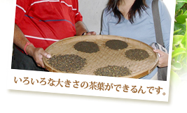 �g���̃O���[�h
