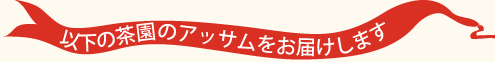 アッサム紅茶