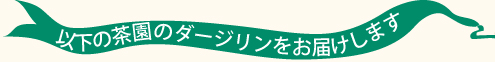 ダージリン紅茶