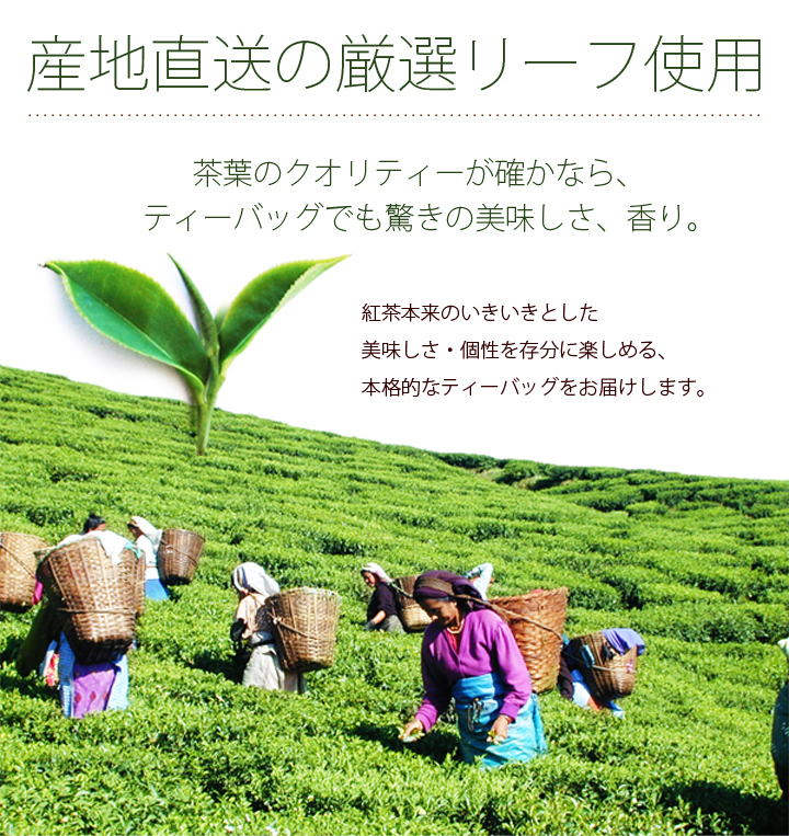 ティーバッグ