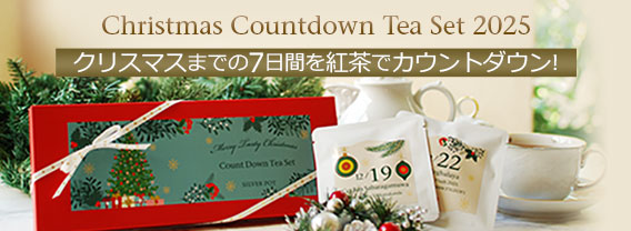 クリスマスカウントダウンティーセット