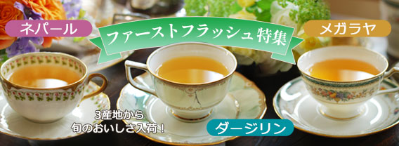 ファーストフラッシュ特集