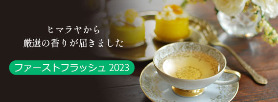 ファーストフラッシュ