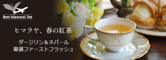 ファーストフラッシュ特集