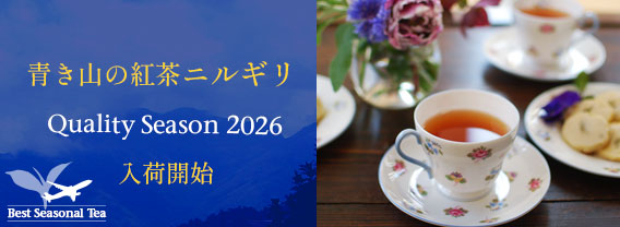ニルギリクオリティーシーズン
