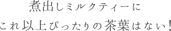 アッサムCTCハティマラ茶園