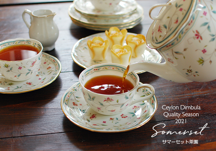 紅茶 セイロンティー ディンブラ Quality Season 2021年 サマーセット茶園 BOP 50g / サマセット茶園