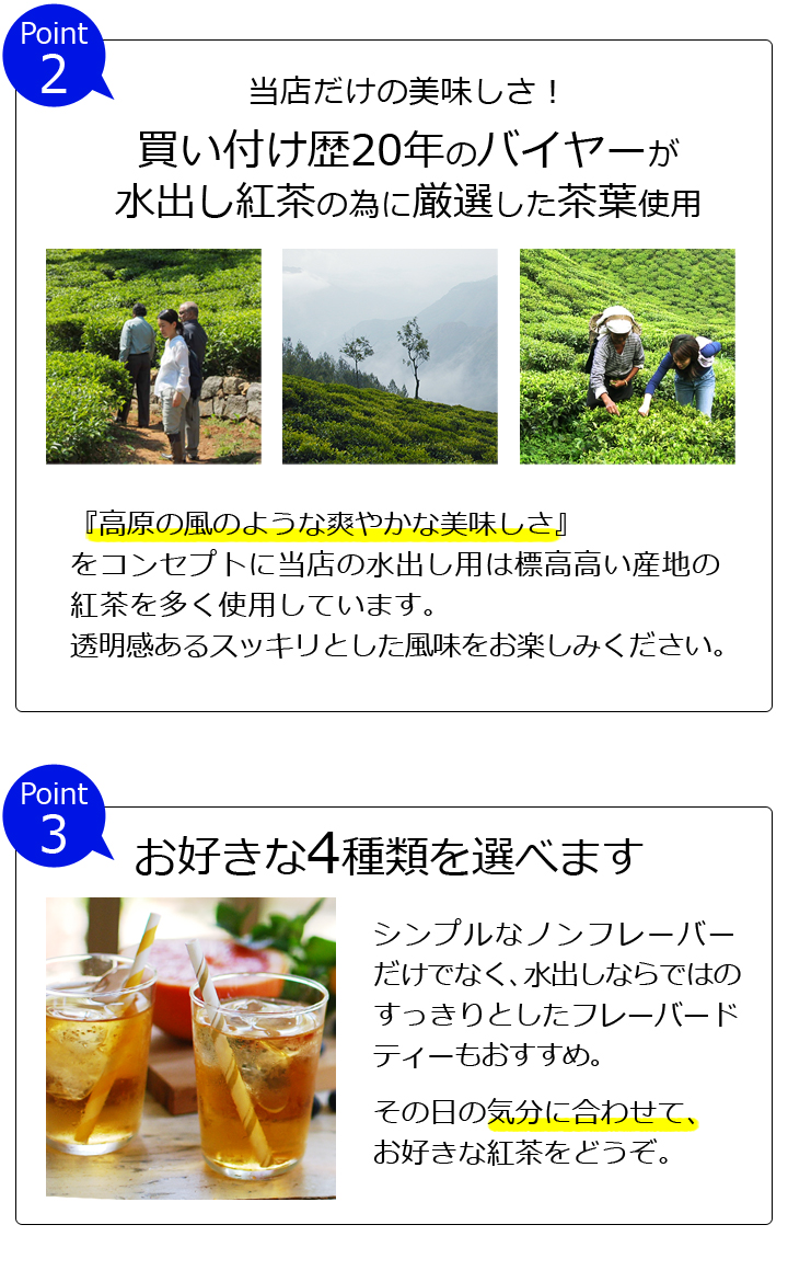 紅茶 選べる 水出し紅茶用ティーバッグ マーケット /メール便 送料無料 /美味しいティーバッグ 水出し ティーパック コールドブリュー  アールグレイやマスカットティーも人気 オシャレなパッケージ 通販 購入 MTBMY2Y