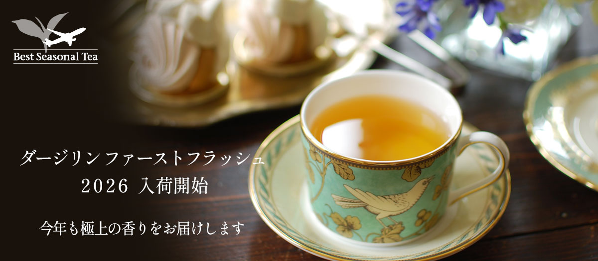 ダージリンファーストフラッシュ
