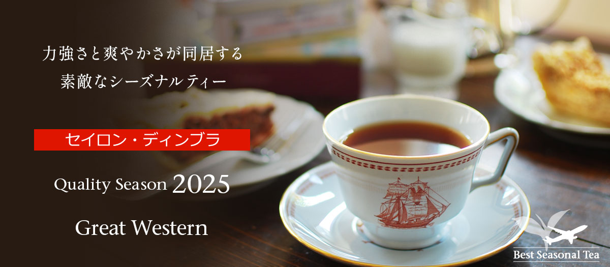 【大容量】240ティーバッグ M&S 紅茶「Luxury Gold」（750g） 大容量】240ティーバッグ M&S 紅茶「Luxury Gold」（750g