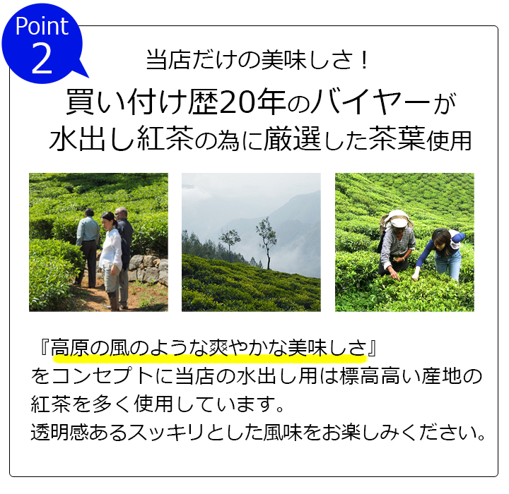 水出し紅茶用ティーバッグ